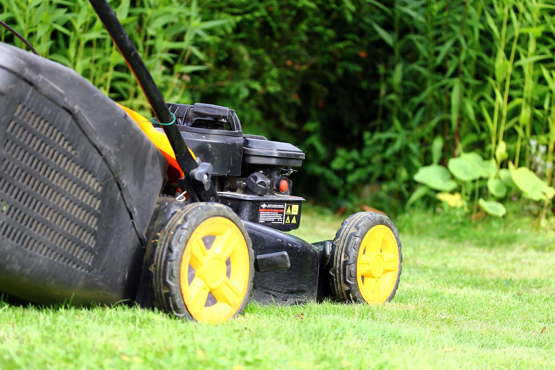Entretien batterie tondeuse Entretien batterie tondeuse